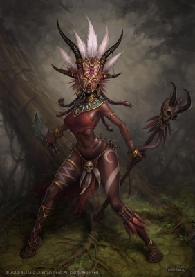 Diablo 3 Witch Doctor