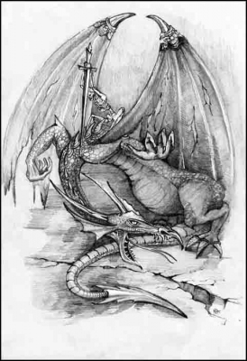 Воин и дракон 2