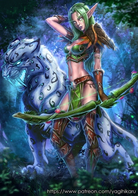 Hunter Night Elf