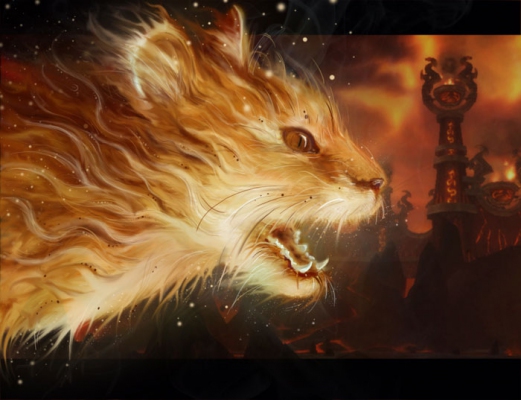 Огненный котик