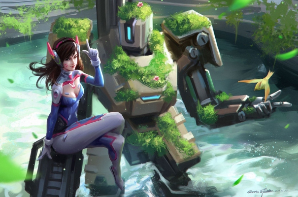 D.Va and Bastion